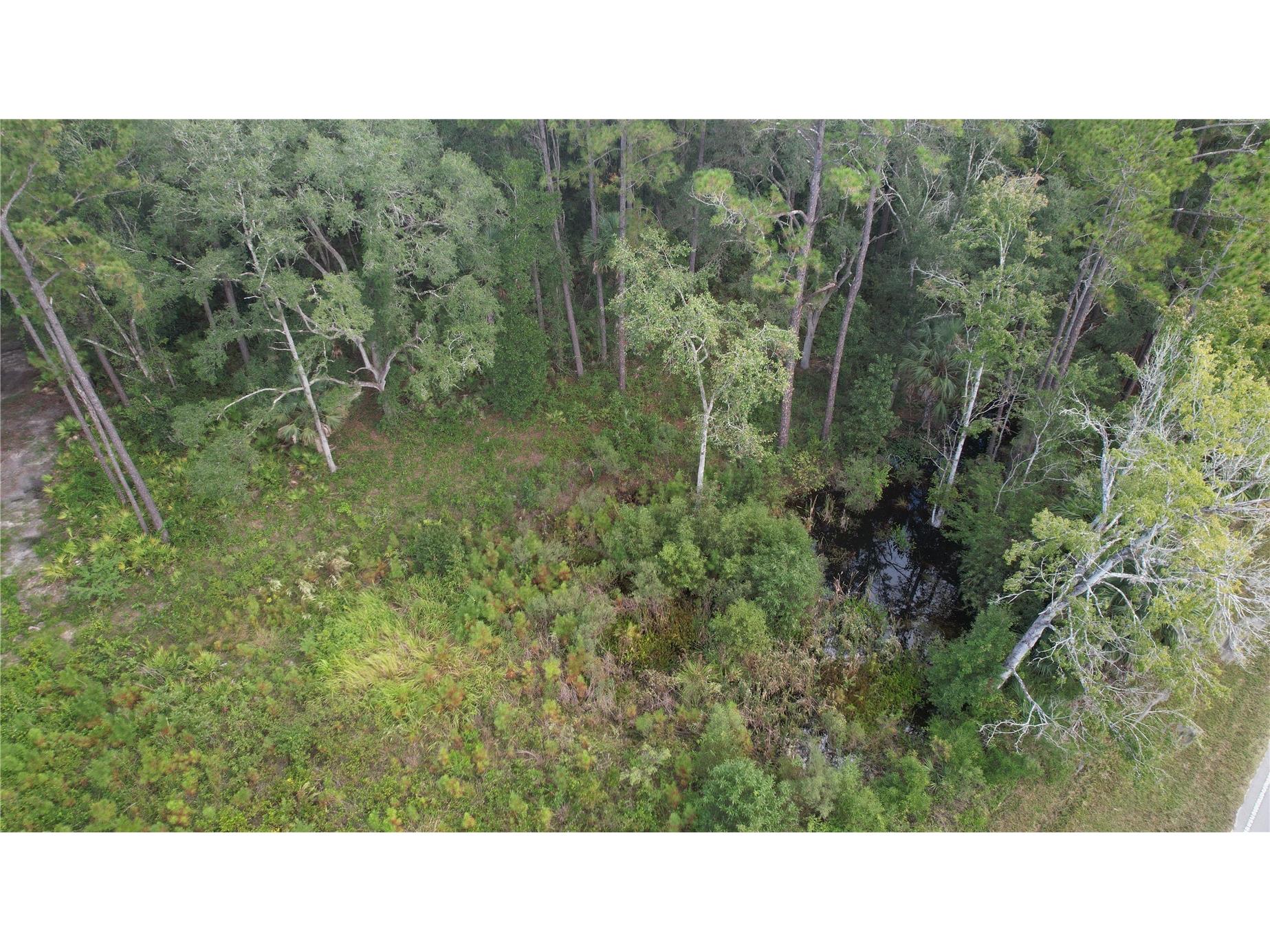 E Highway 316 Fort Mc Coy FL 32134 OM710948 image19