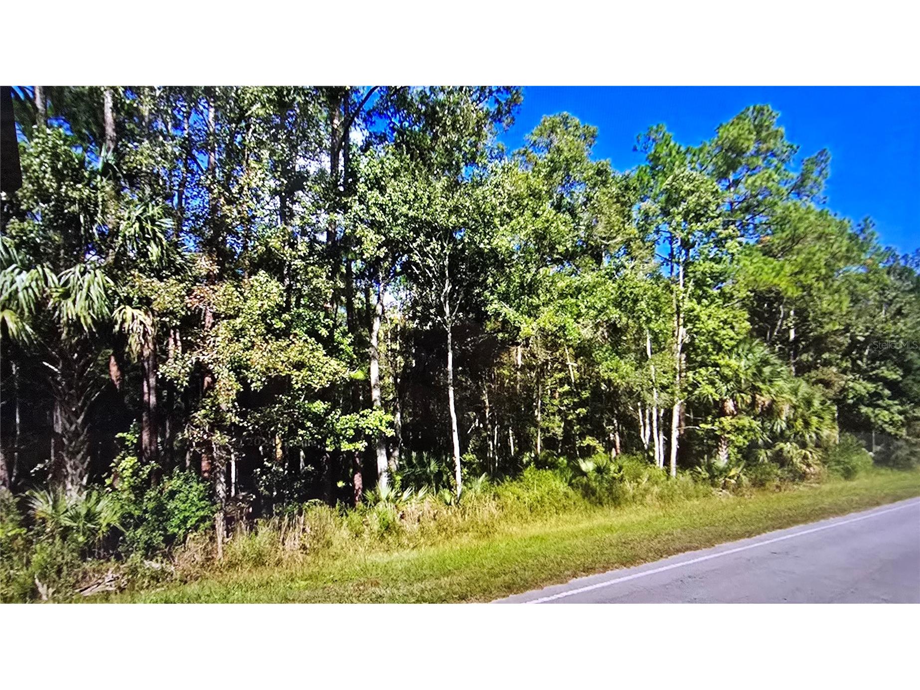 E Highway 316 Fort Mc Coy FL 32134 OM710948 image4