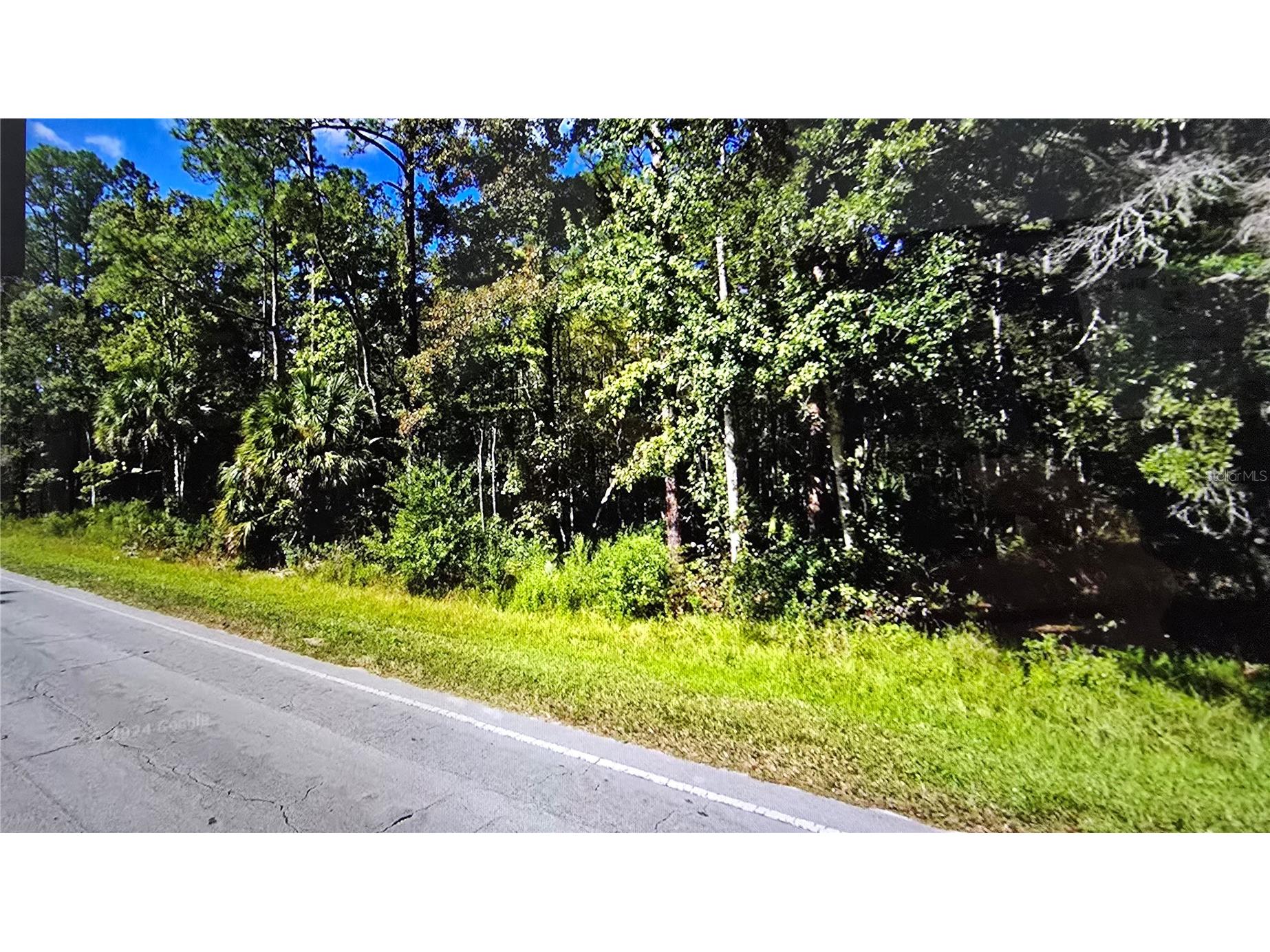 E Highway 316 Fort Mc Coy FL 32134 OM710948 image5