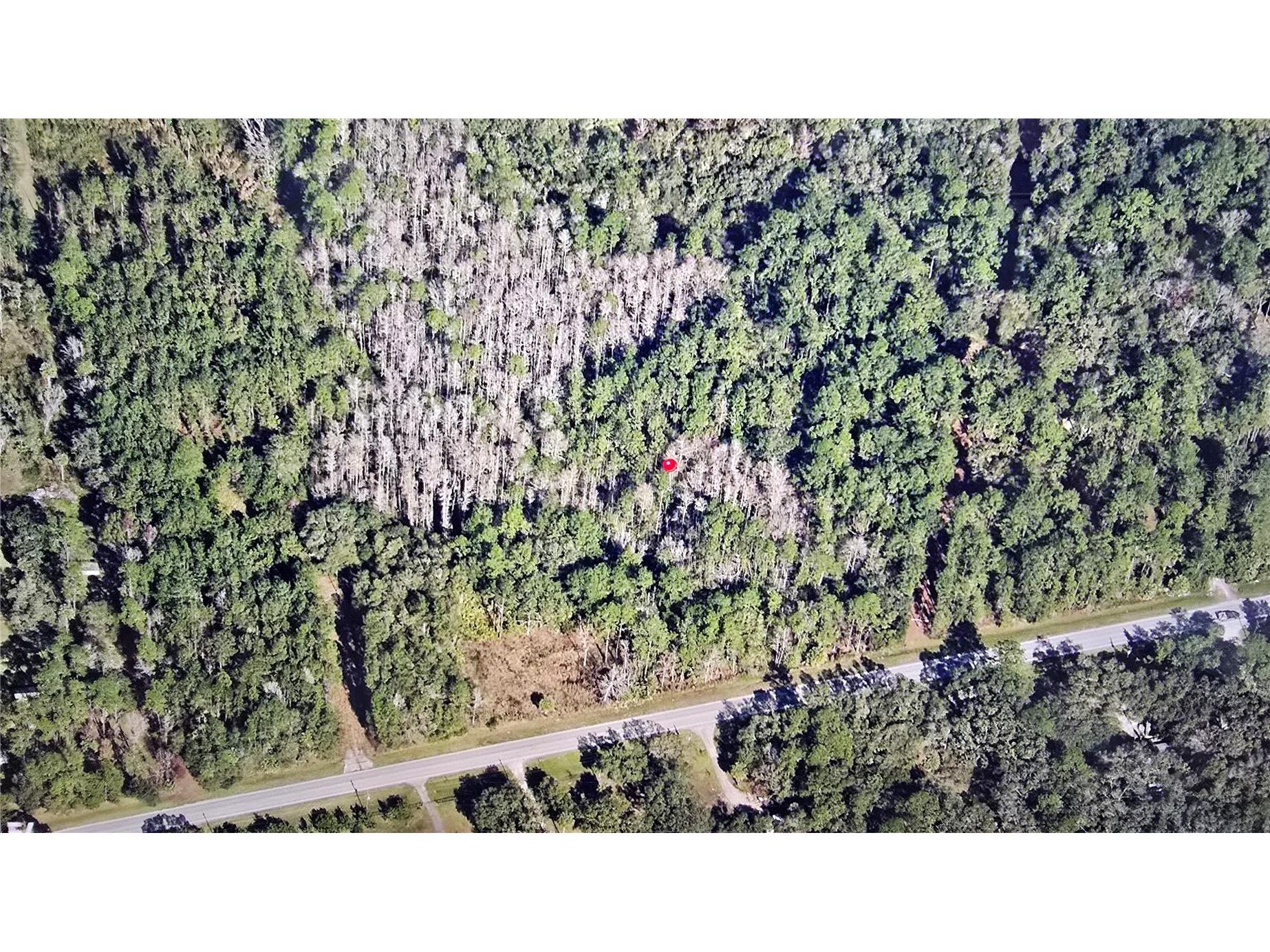 E Highway 316 Fort Mc Coy FL 32134 OM710948 image6