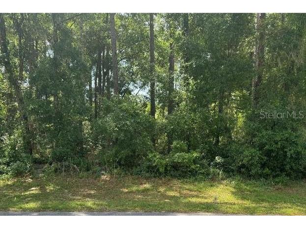 E Holly Street Howey In The Hills FL 34737 O6224714 image1