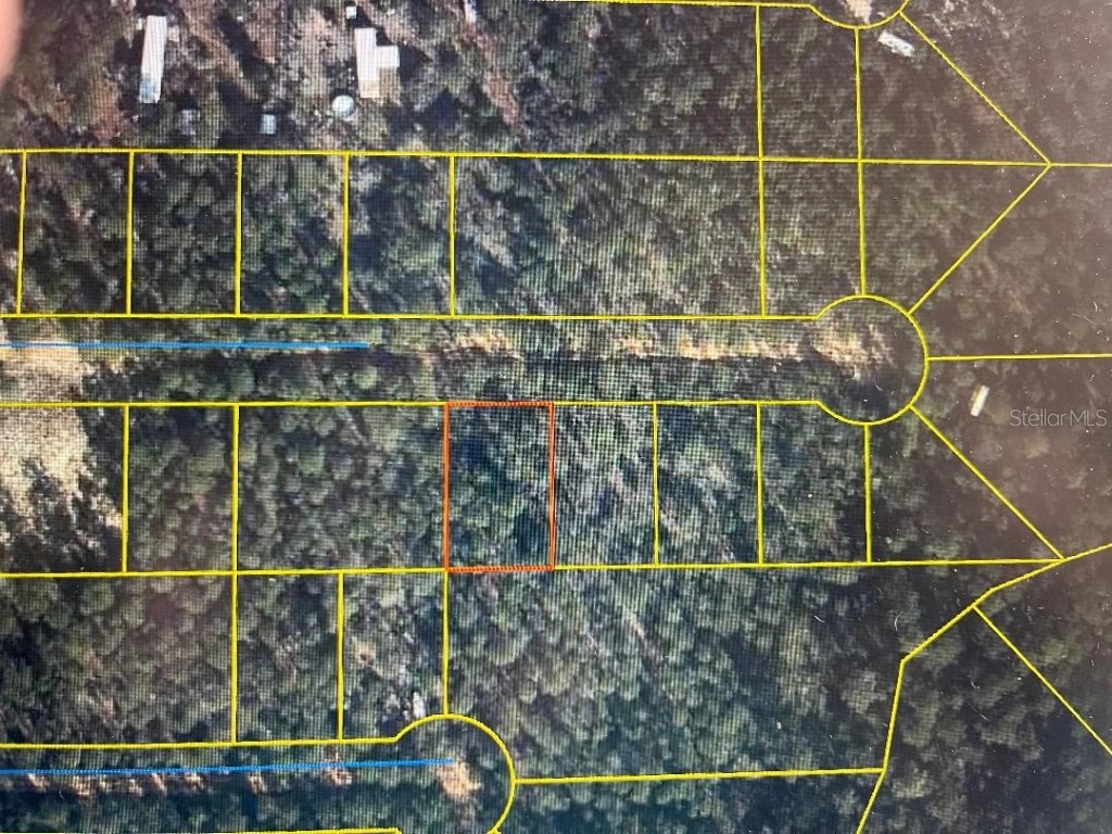 E Honeysuckle Street Defuniak Springs FL 32433 OM668664 image1