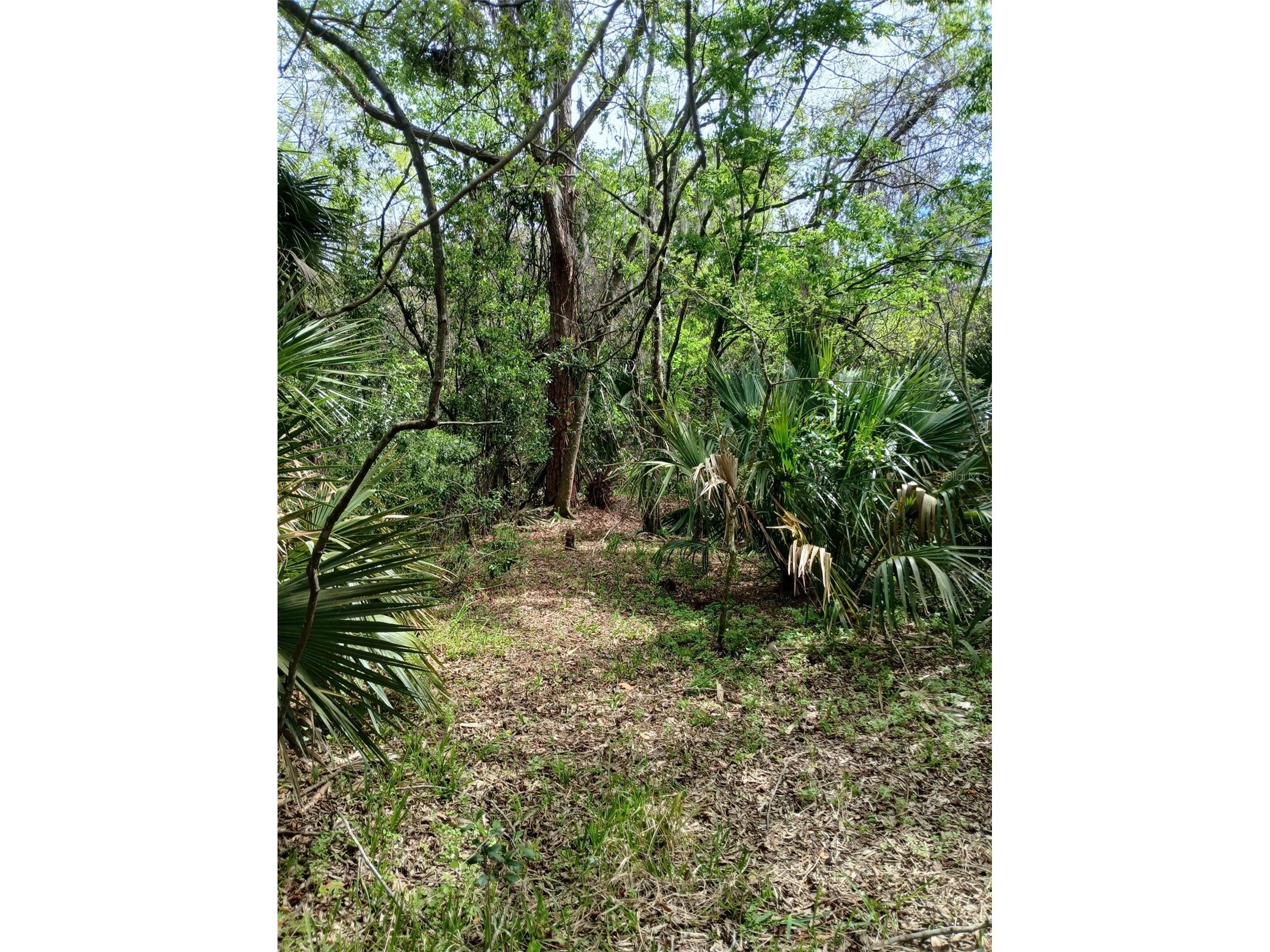 E Hubbard Avenue Deland FL 32724 O6388384 image1