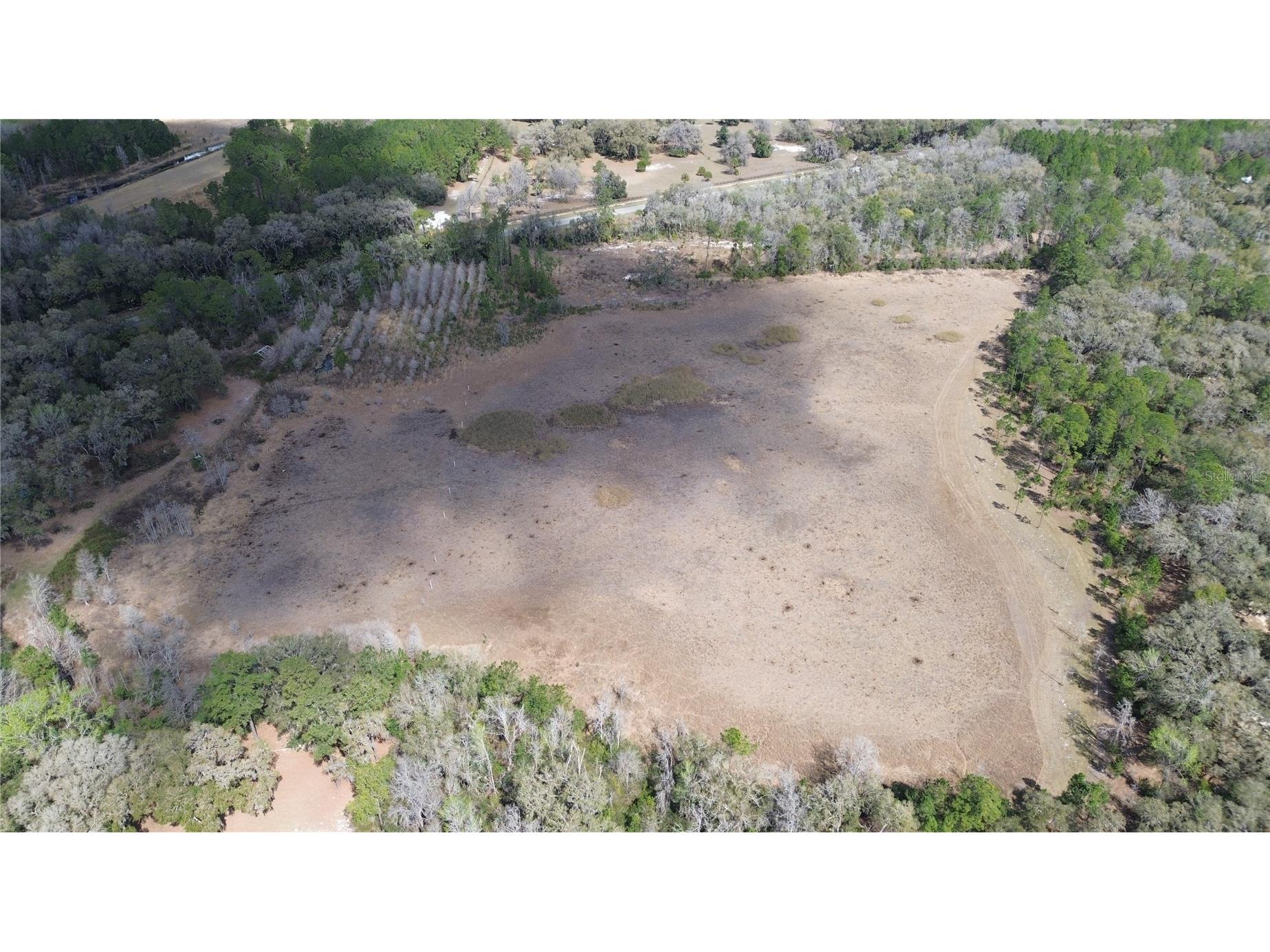 E Hwy 316 Citra FL 32113 OM720206 image14