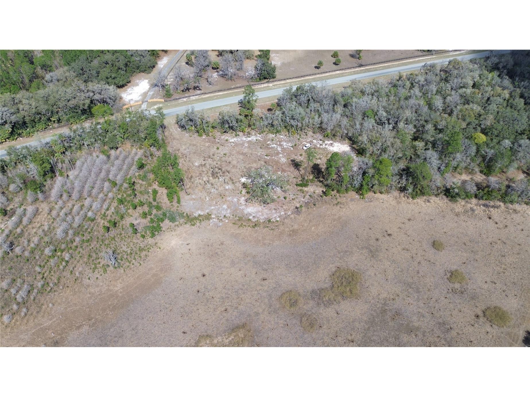 E Hwy 316 Citra FL 32113 OM720206 image3