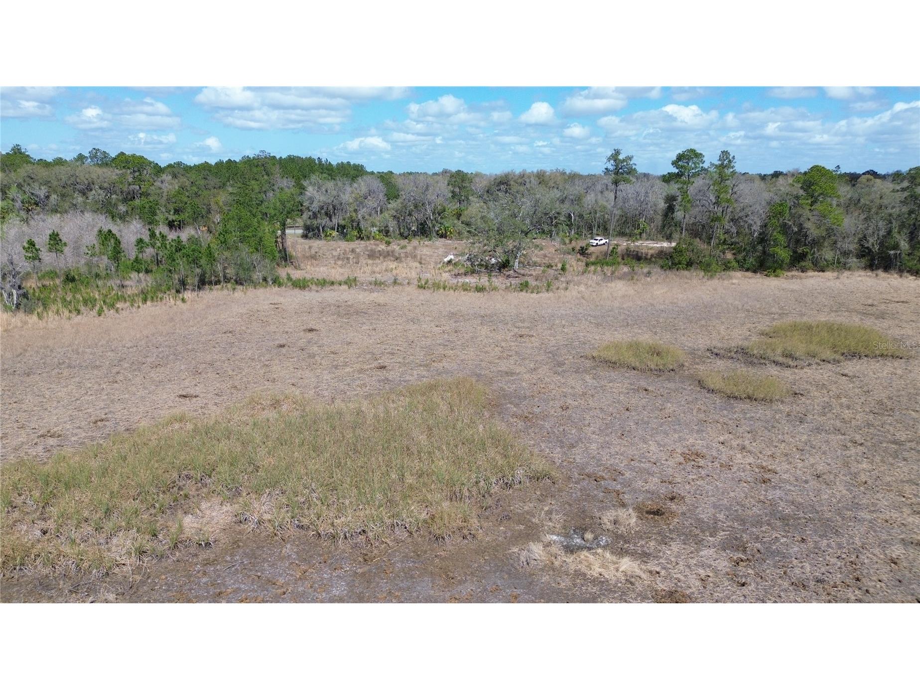 E Hwy 316 Citra FL 32113 OM720206 image4