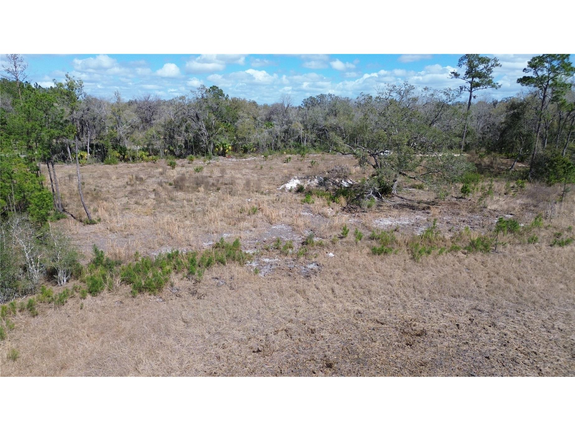 E Hwy 316 Citra FL 32113 OM720206 image5