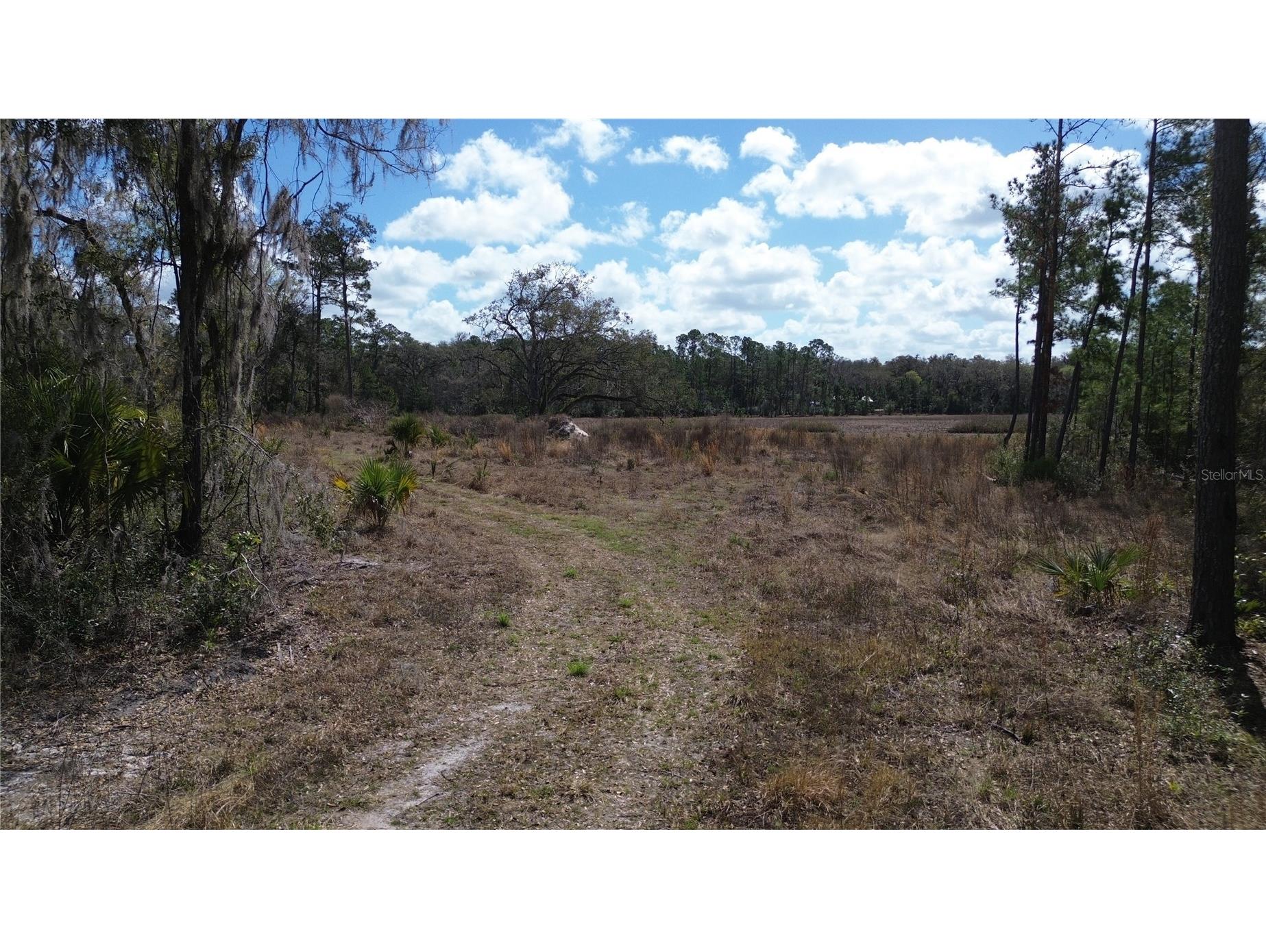 E Hwy 316 Citra FL 32113 OM720206 image6