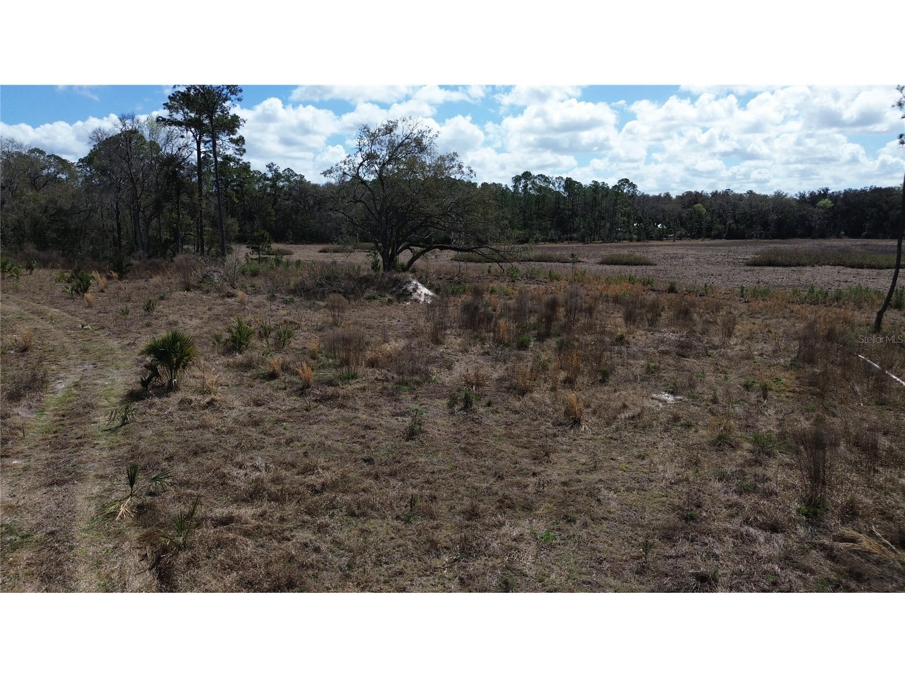 E Hwy 316 Citra FL 32113 OM720206 image7