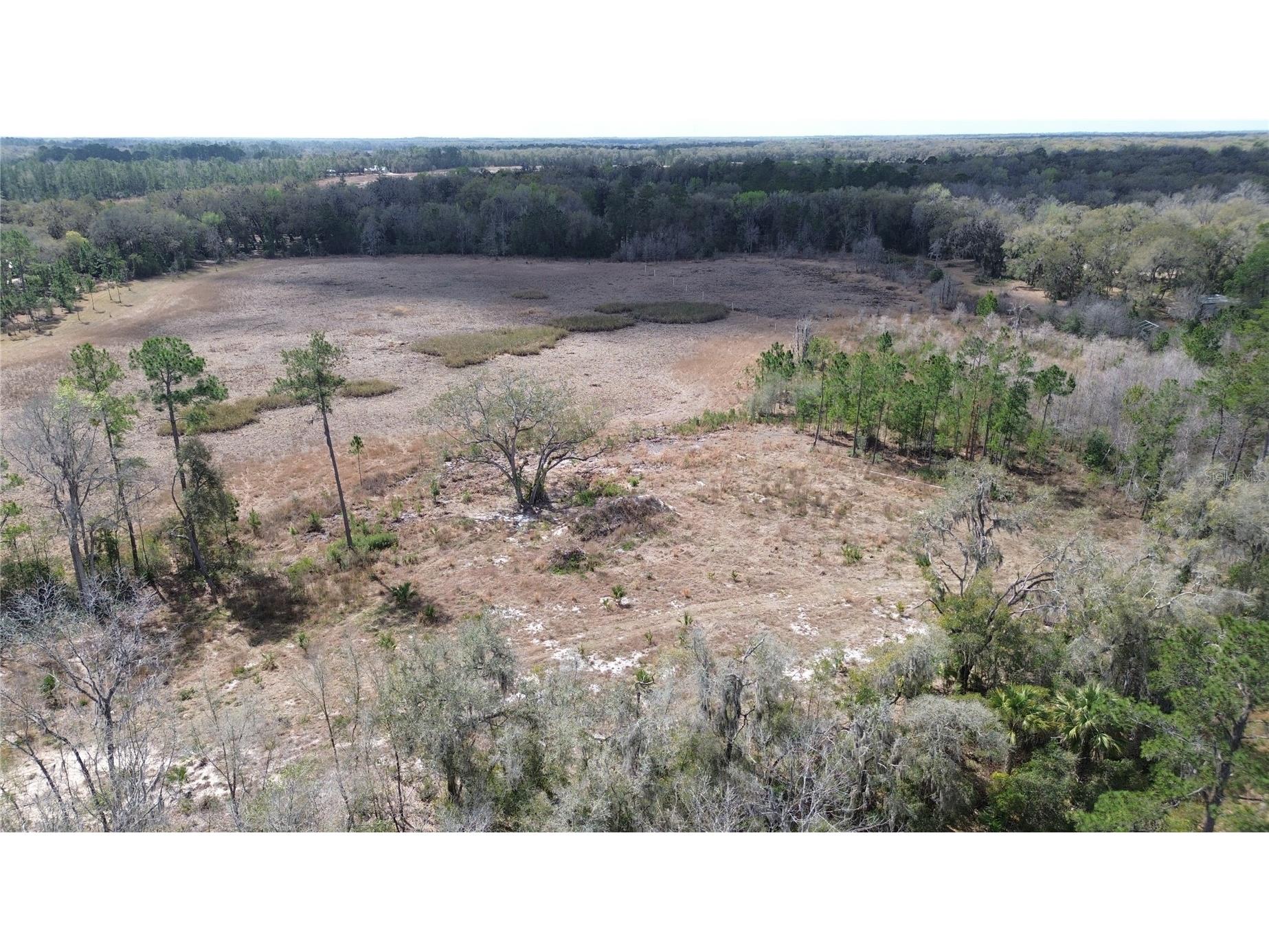 E Hwy 316 Citra FL 32113 OM720206 image8