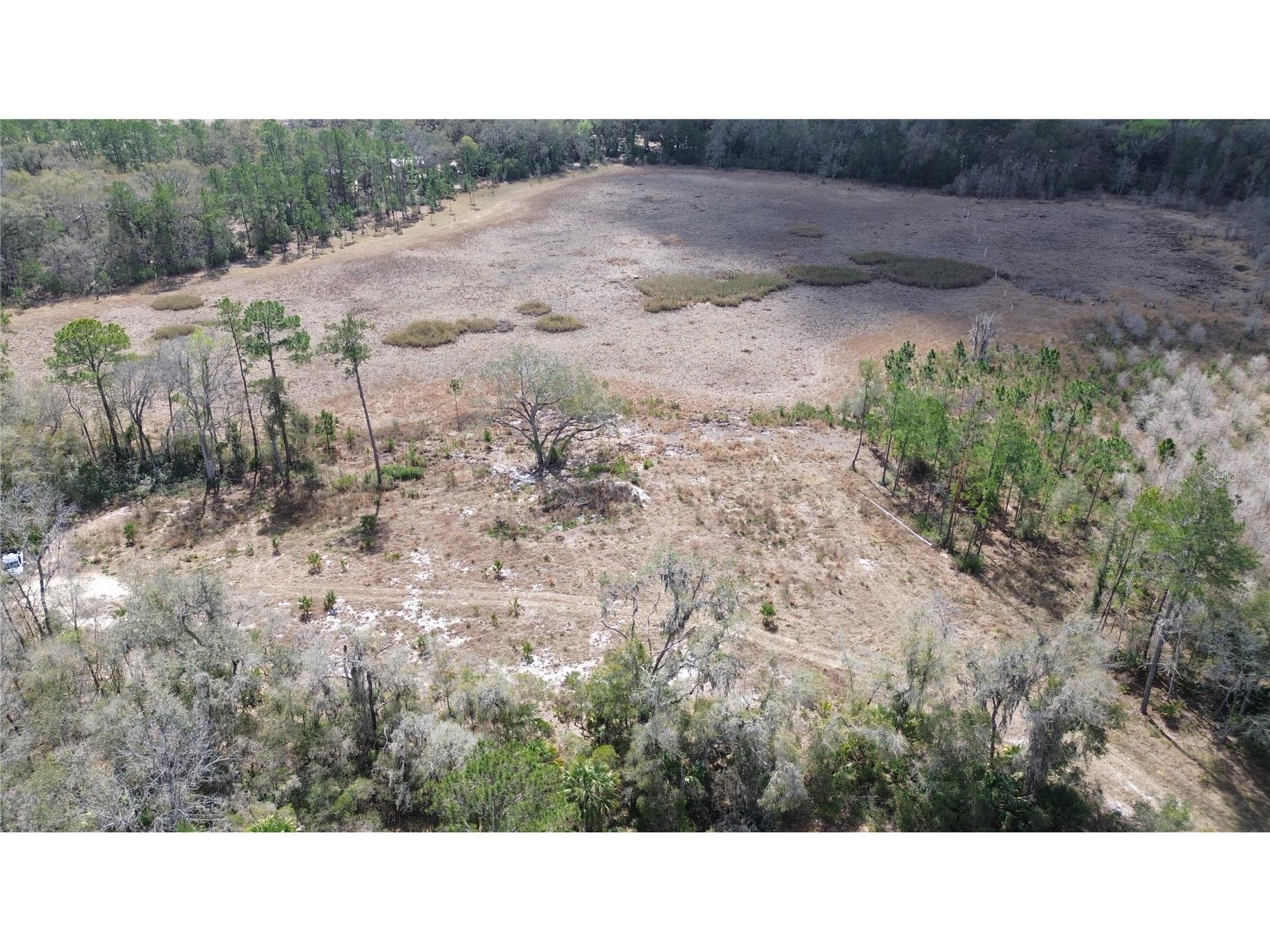 E Hwy 316 Citra FL 32113 OM720206 image9
