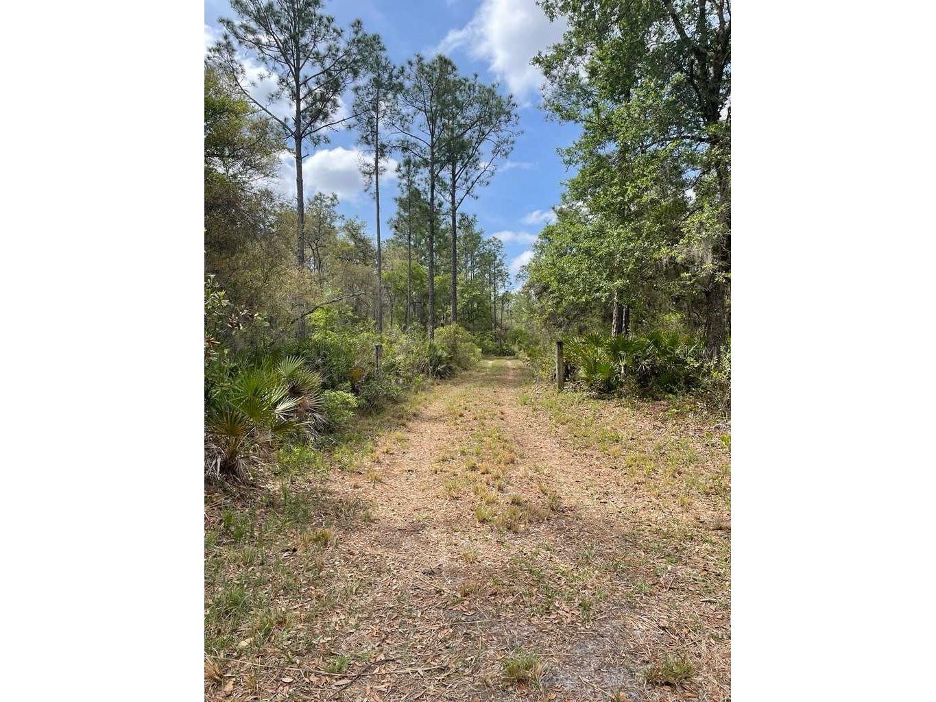 E Hwy 318 Citra FL 32113 TB8511279 image1