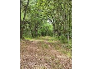 E Hwy 318 Citra FL 32113 TB8511279 image2