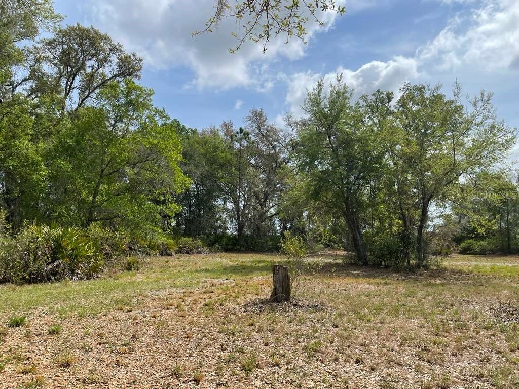 E Hwy 318 Citra FL 32113 TB8511279 image3