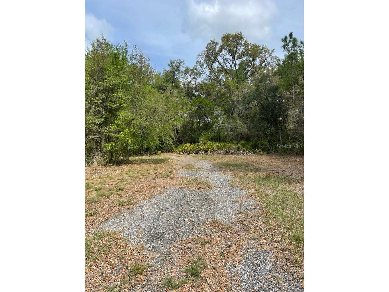 E Hwy 318 Citra FL 32113 TB8511279 image4