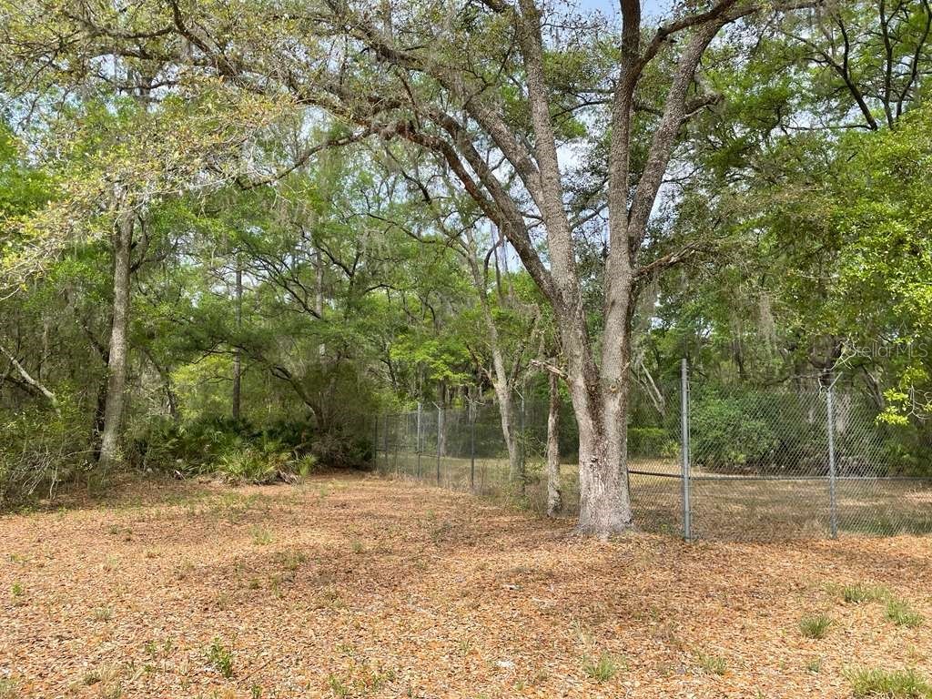 E Hwy 318 Citra FL 32113 TB8511279 image5