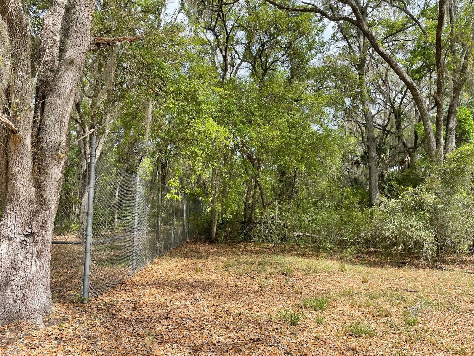 E Hwy 318 Citra FL 32113 TB8511279 image6