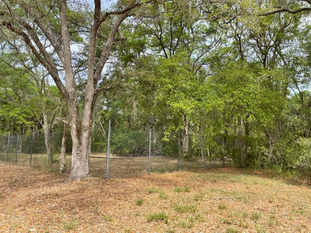 E Hwy 318 Citra FL 32113 TB8511279 image7