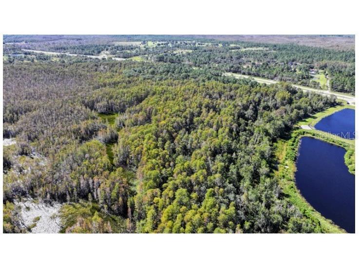 E Irlo Bronson Highway Saint Cloud FL 34771 O6300288 image8