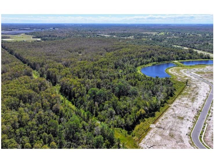 E Irlo Bronson Highway Saint Cloud FL 34771 O6300288 image9