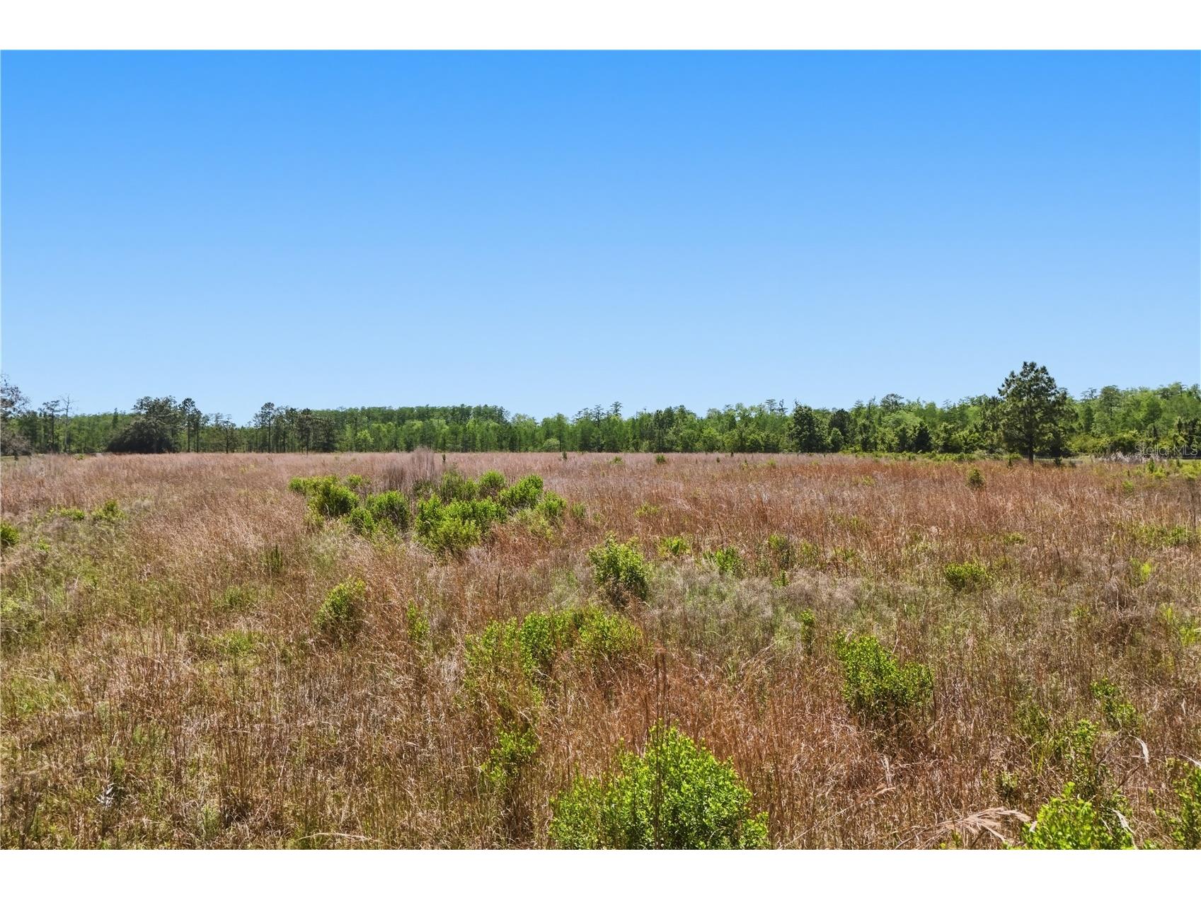 E Irlo Bronson Memorial Highway #0 Saint Cloud FL 34771 O6406968 image8