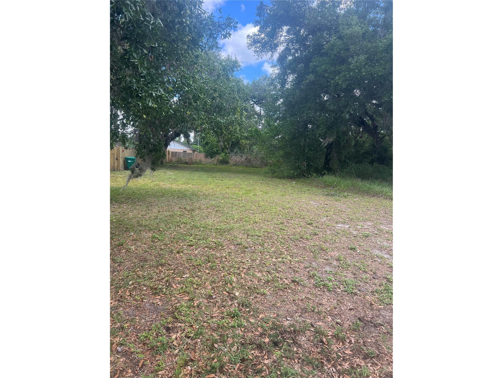E Jackson Avenue Mount Dora FL 32757 G5108158 image2