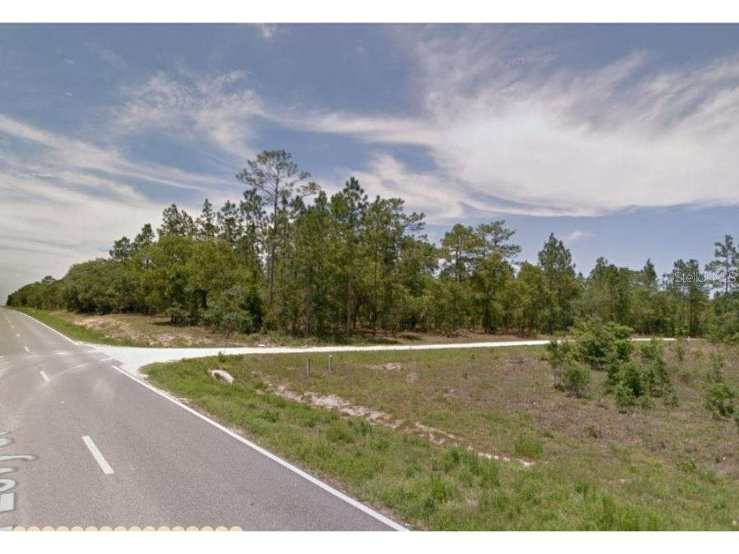 E Levy Street Williston FL 32696 OM657629 image1