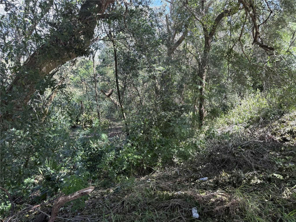 E Minneola Avenue Clermont FL 34711 O6248790 image2