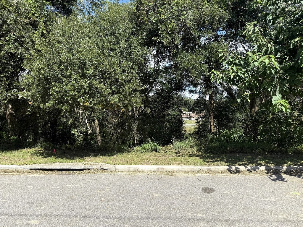 E Minneola Avenue Clermont FL 34711 O6248790 image4