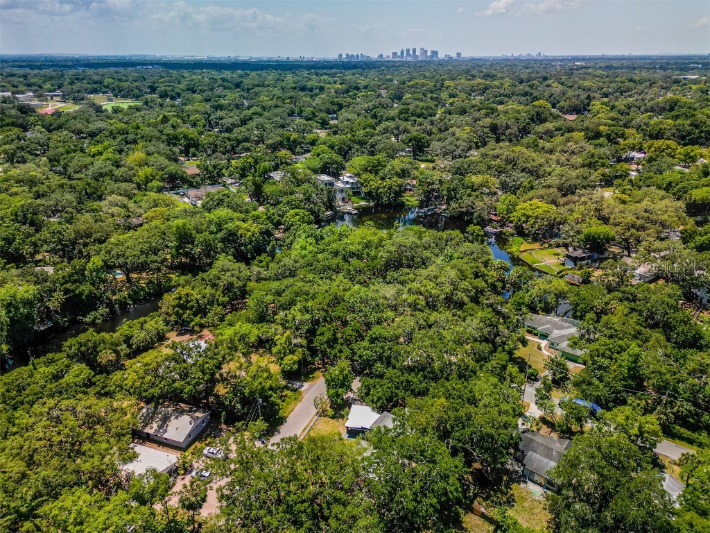 E Mulberry Drive Tampa FL 33604 TB8352155 image12