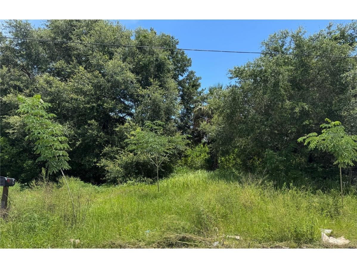 E Northside Drive Lake Wales FL 33853 O6325265 image1