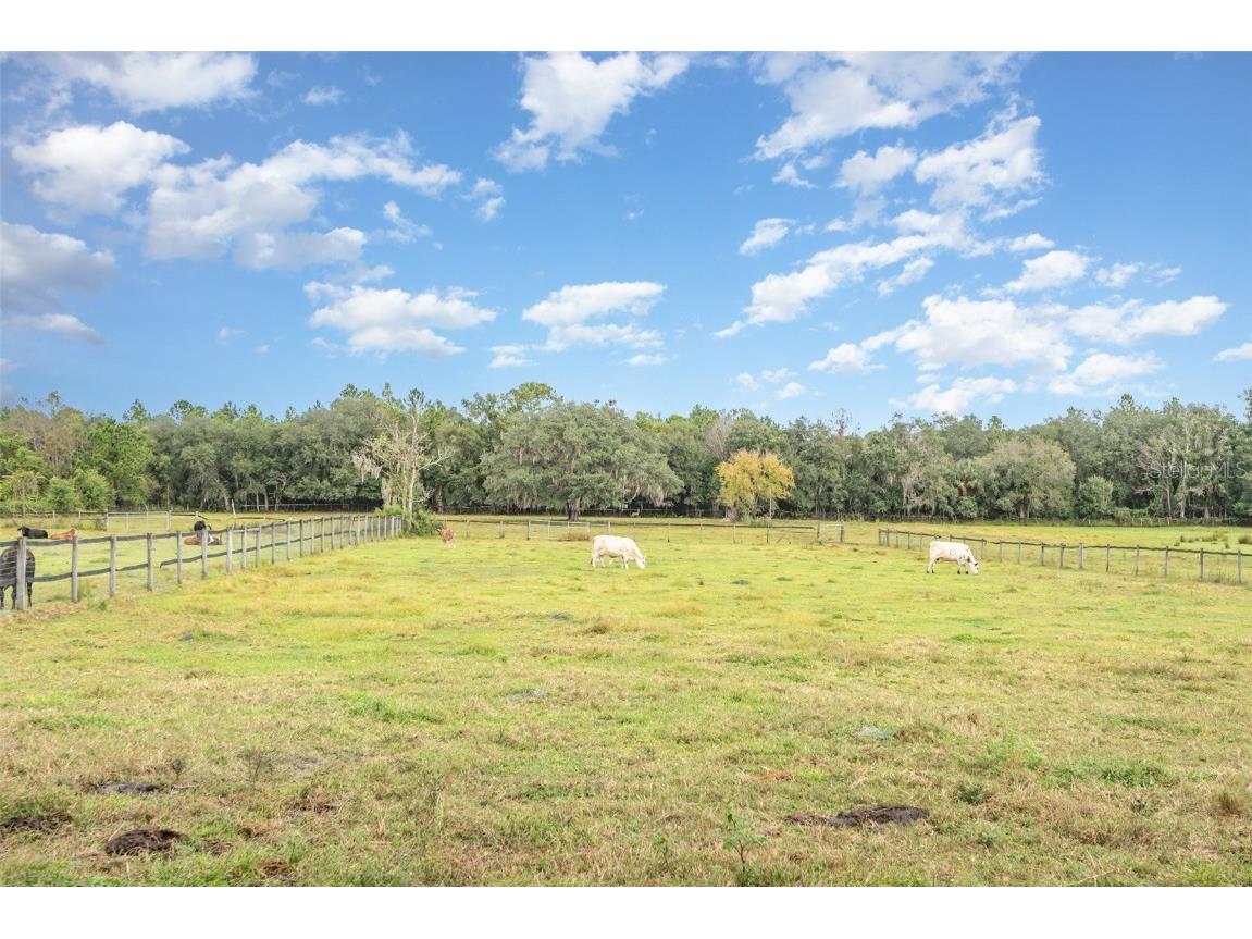 E Ohio Avenue Lake Helen FL 32744 O6355586 image7