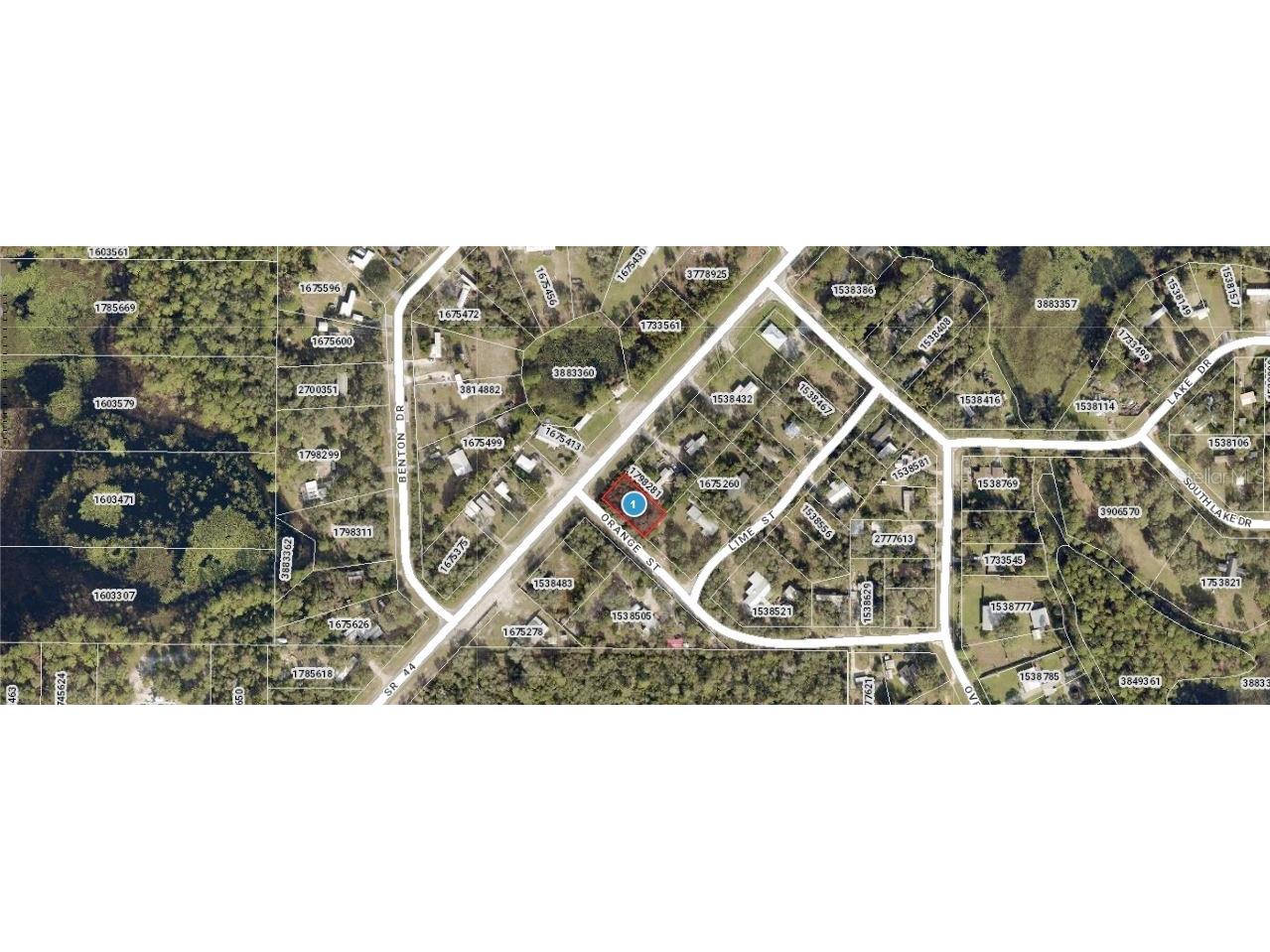E Orange Avenue Eustis FL 32726 O6323118 image1