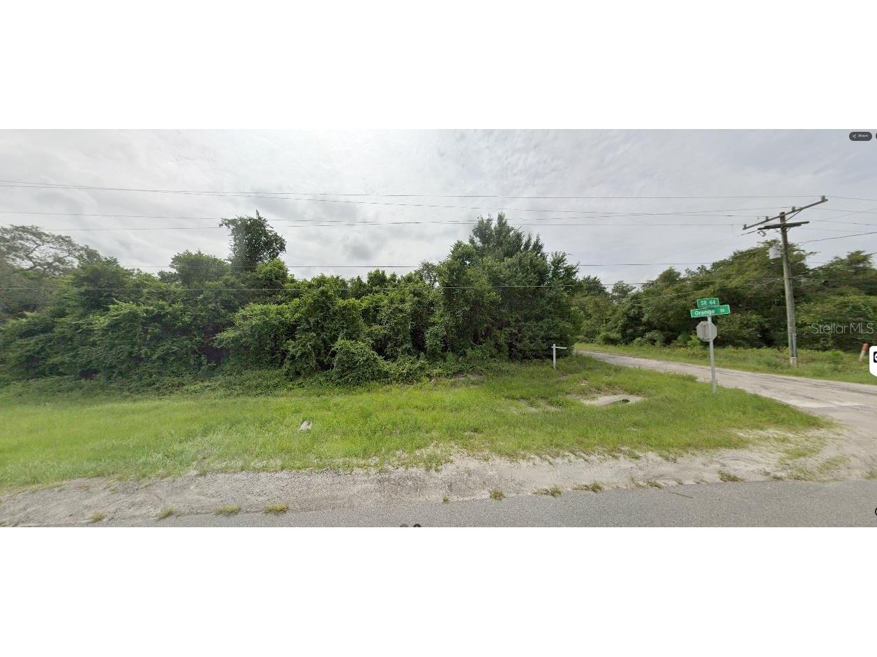 E Orange Avenue Eustis FL 32726 O6323118 image4