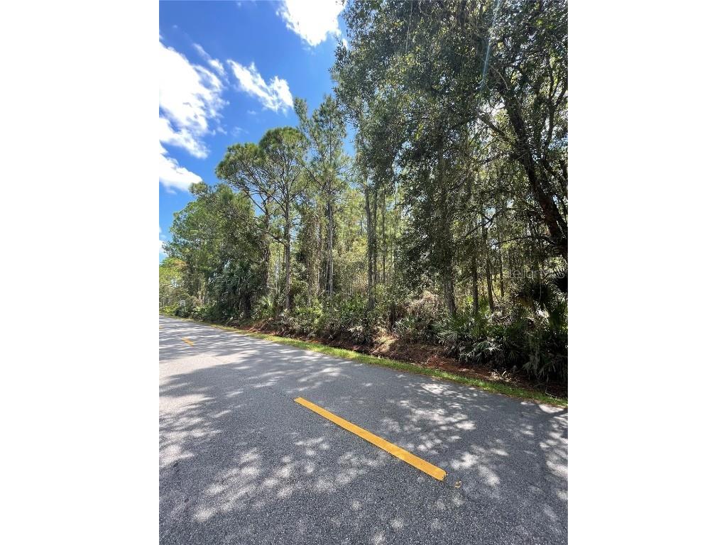 E Osceola Road Geneva FL 32732 O6150738 image1