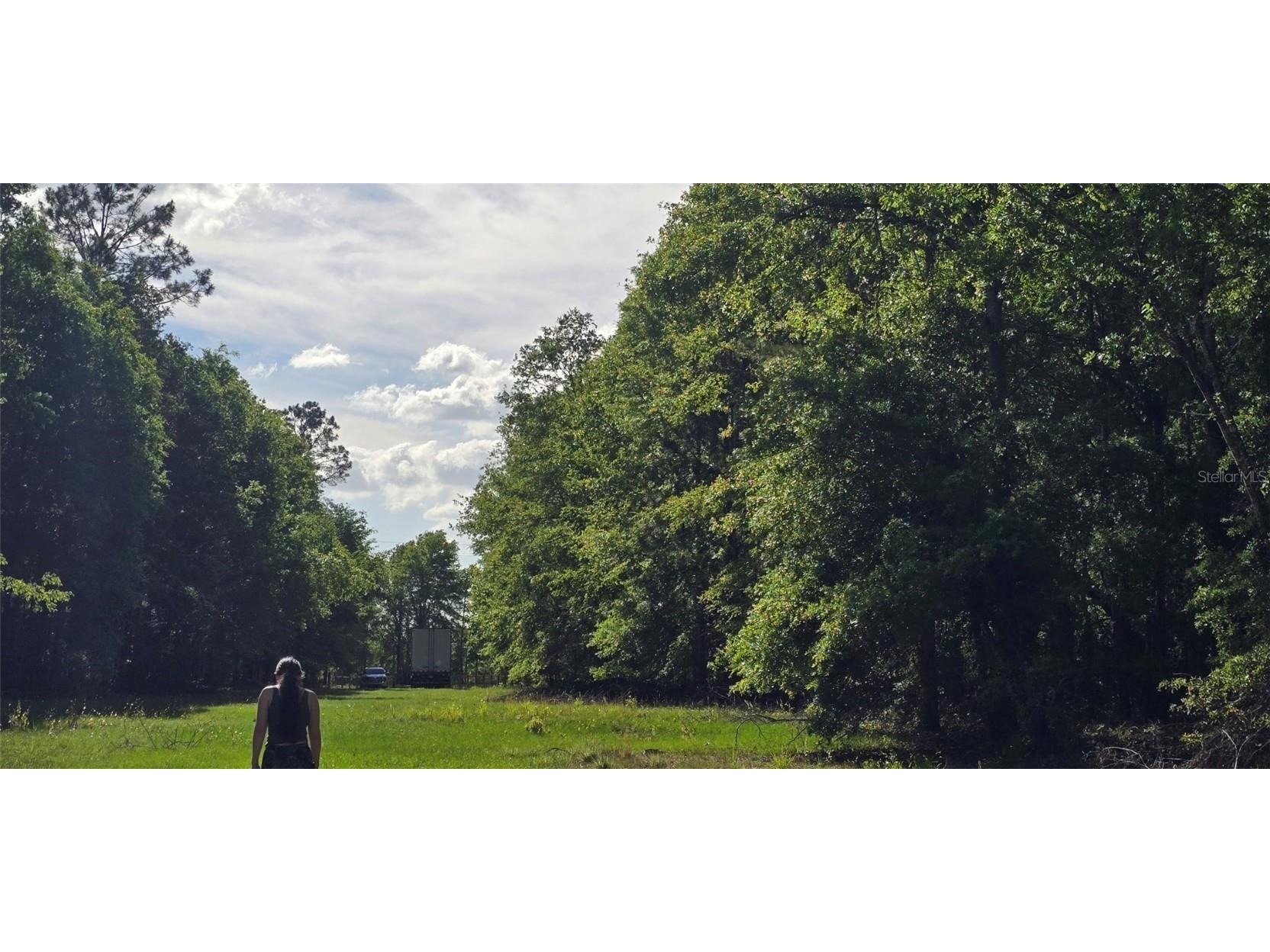 E Parcel Id: -P 1/495 Lots 2 & 3 Tall Timbers S/D Live Oak FL 32060 O6319416 image10