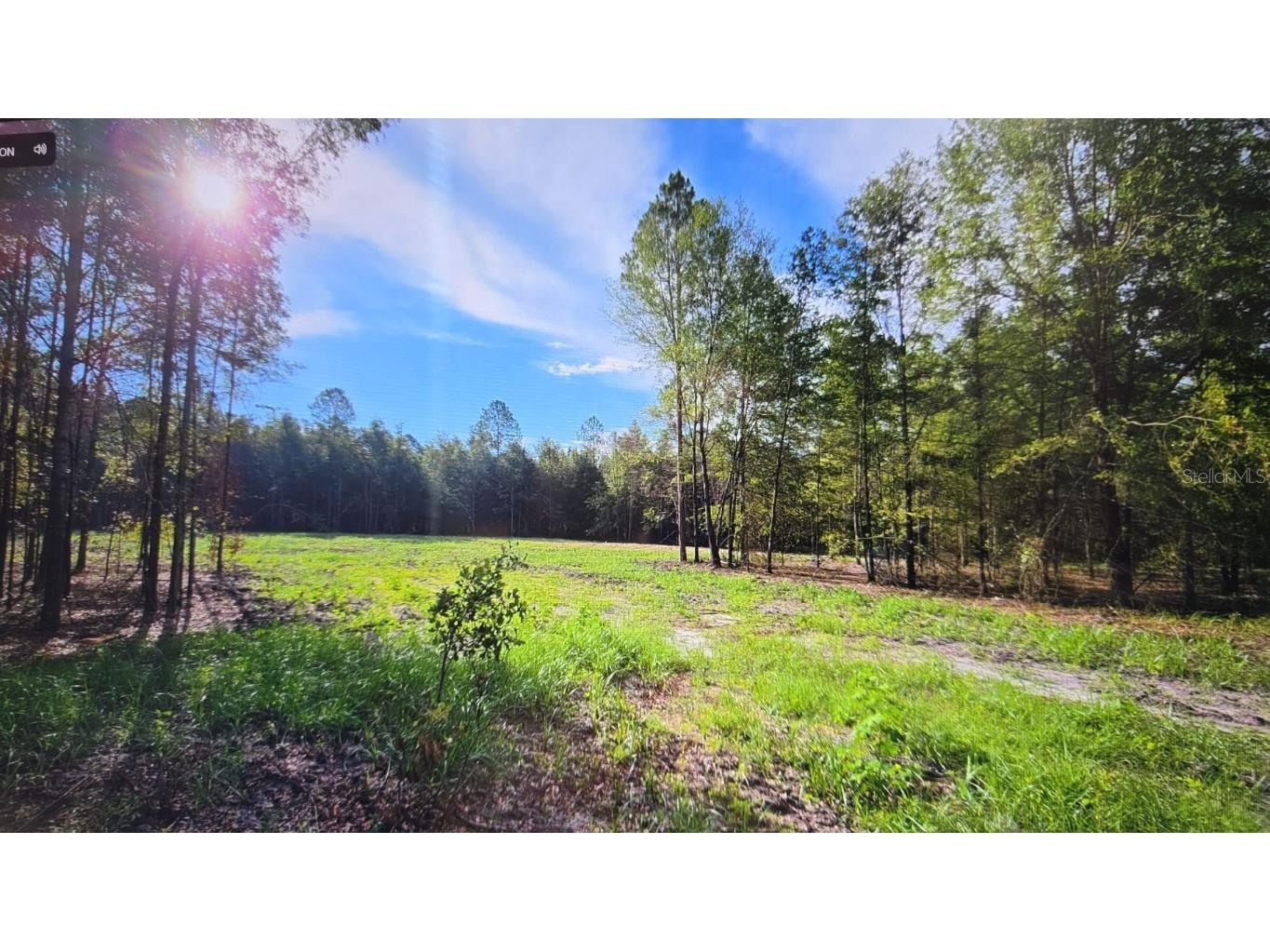 E Parcel Id: -P 1/495 Lots 2 & 3 Tall Timbers S/D Live Oak FL 32060 O6319416 image4