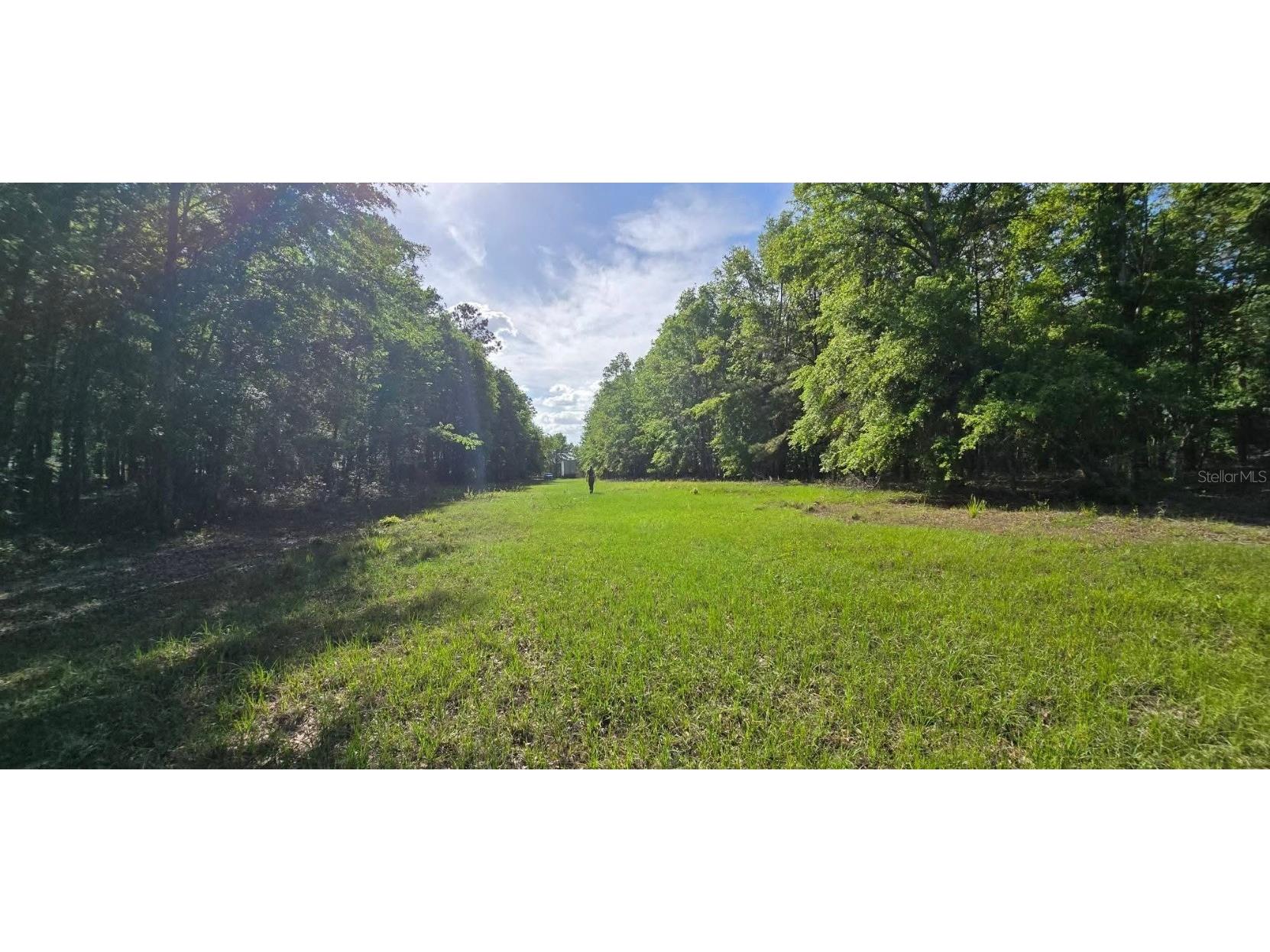 E Parcel Id: -P 1/495 Lots 2 & 3 Tall Timbers S/D Live Oak FL 32060 O6319416 image5