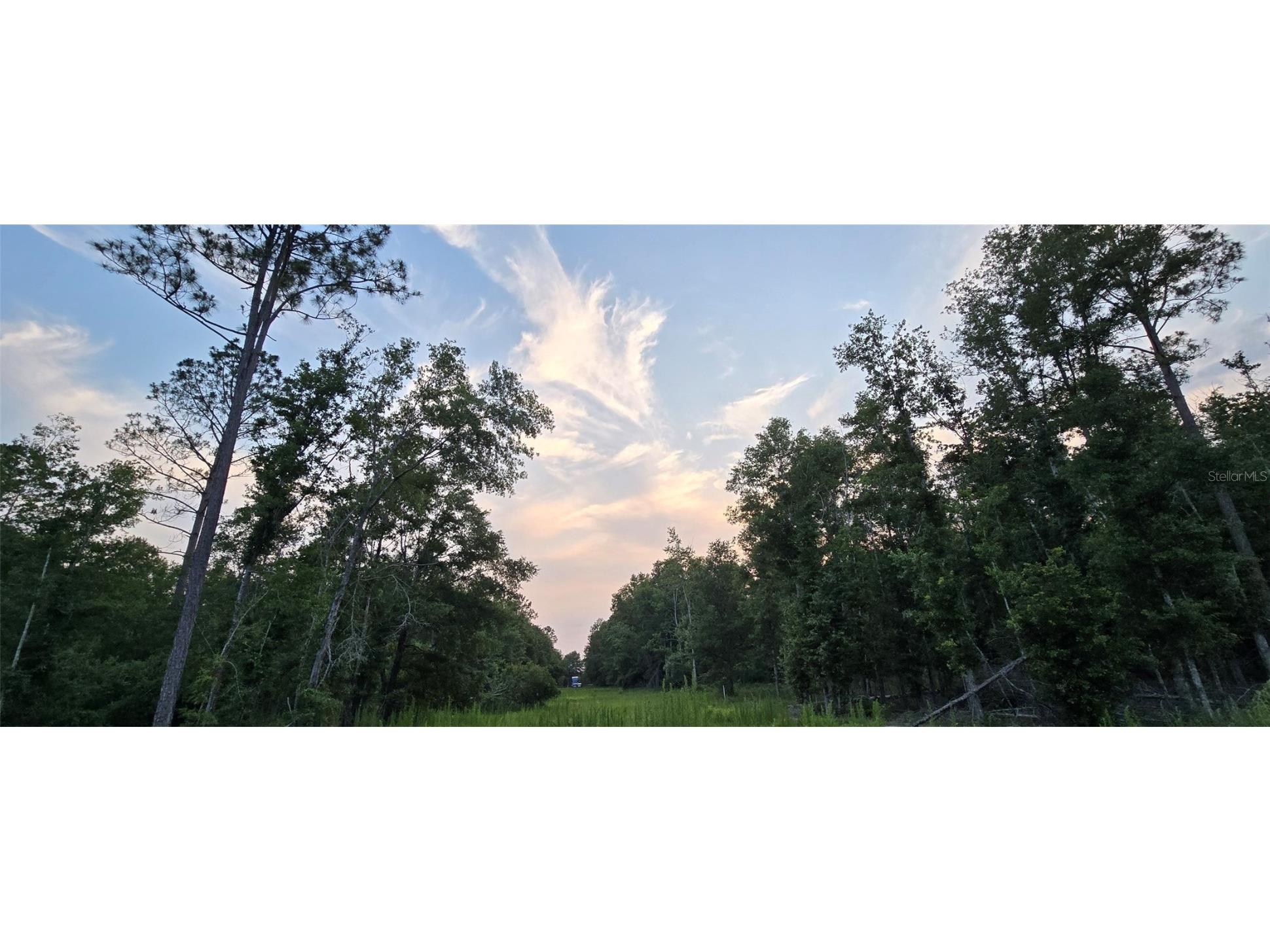 E Parcel Id: -P 1/495 Lots 2 & 3 Tall Timbers S/D Live Oak FL 32060 O6319416 image6