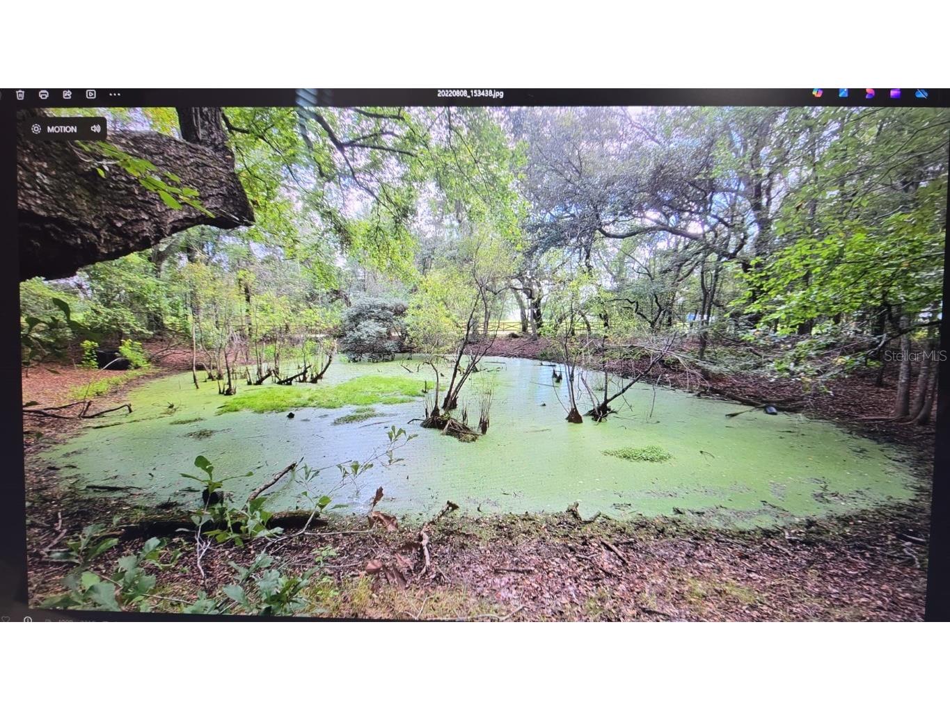 E Parcel Id: -P 1/495 Lots 2 & 3 Tall Timbers S/D Live Oak FL 32060 O6319416 image7