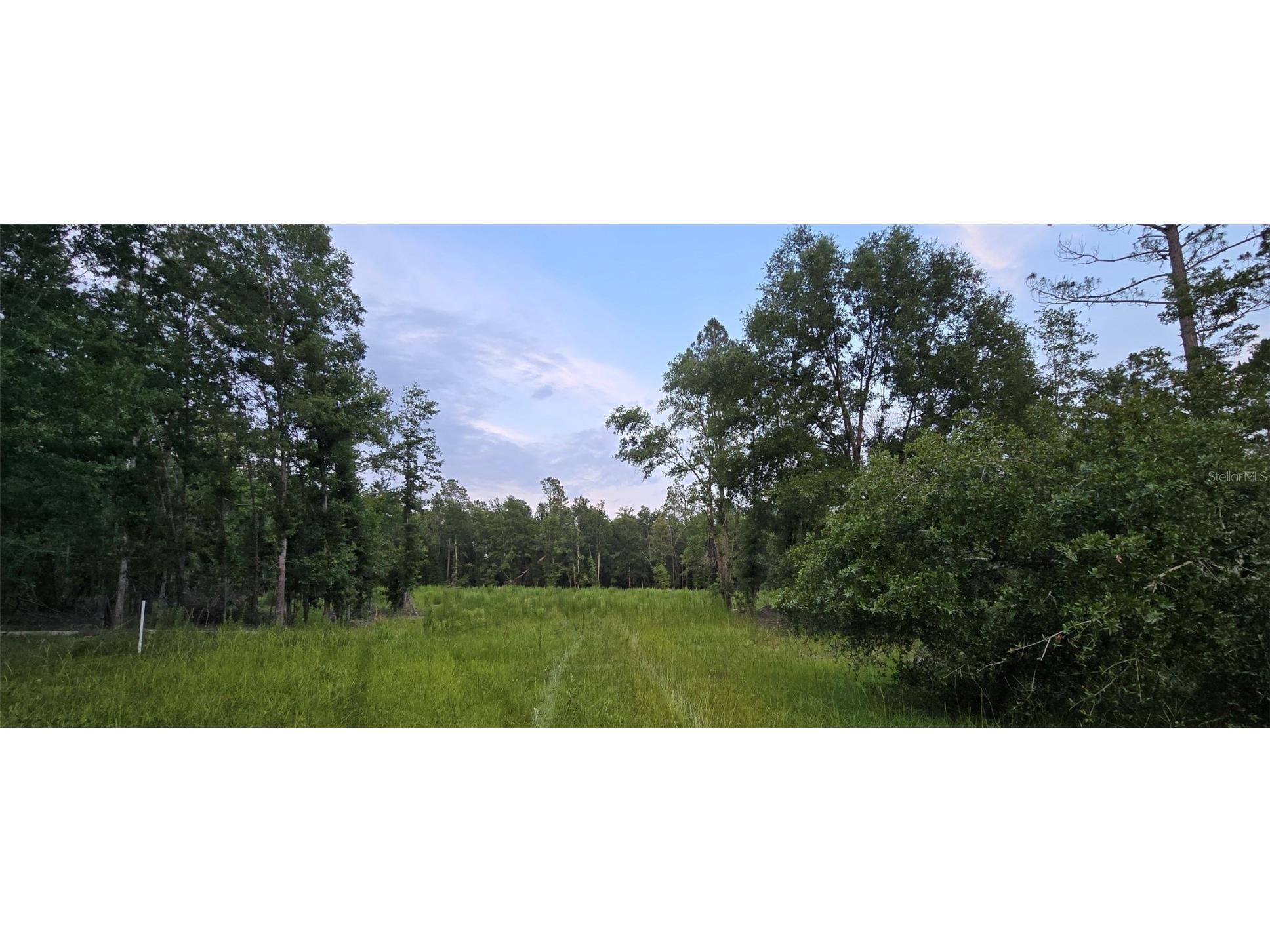 E Parcel Id: -P 1/495 Lots 2 & 3 Tall Timbers S/D Live Oak FL 32060 O6319416 image8