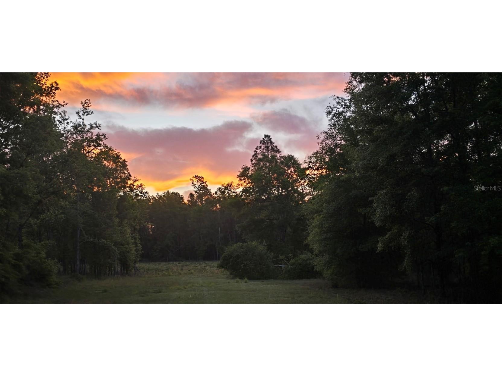 E Parcel Id: -P 1/495 Lots 2 & 3 Tall Timbers S/D Live Oak FL 32060 O6319416 image9