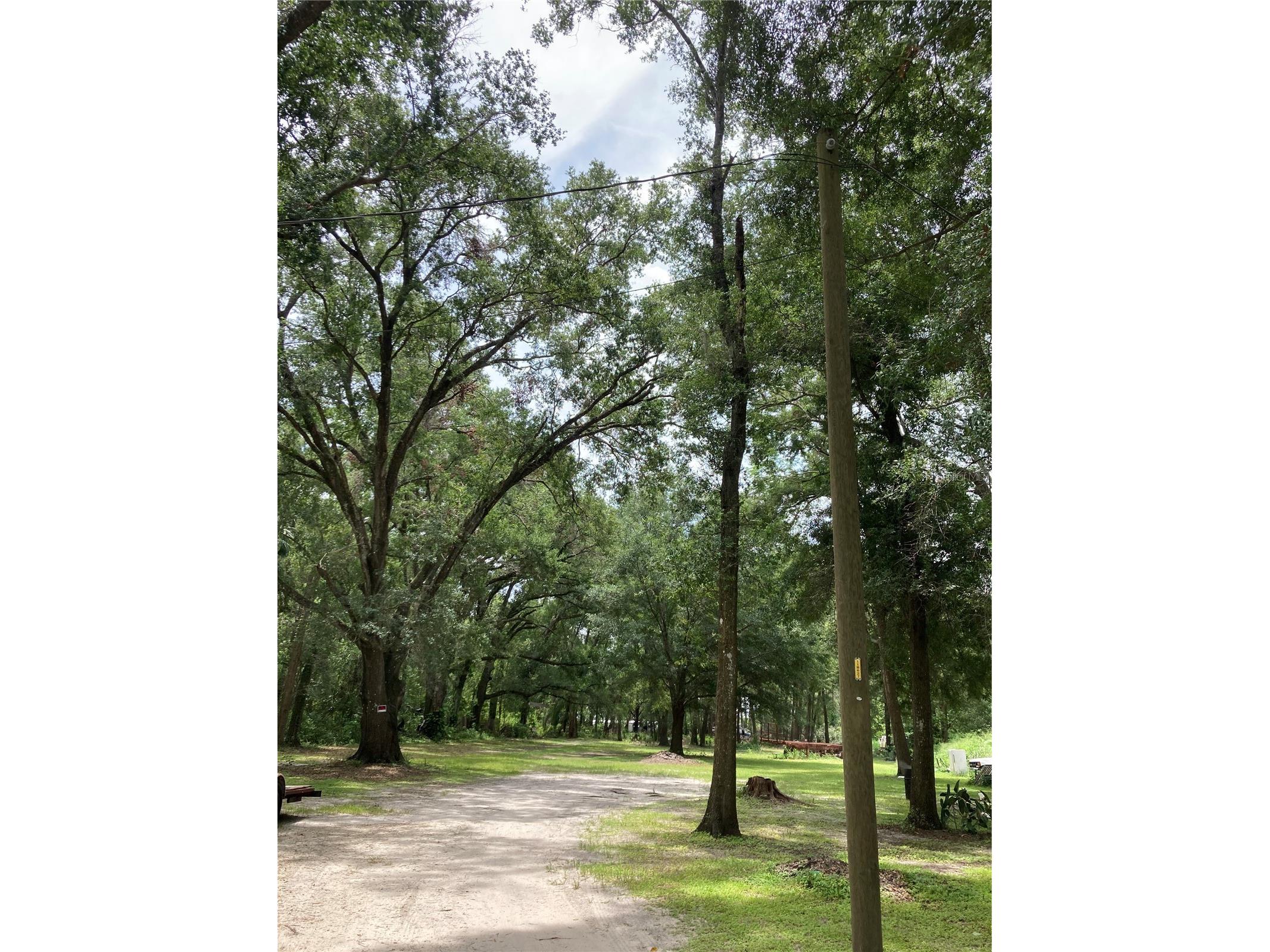 E Pine Avenue Mount Dora FL 32757 O6413217 image2