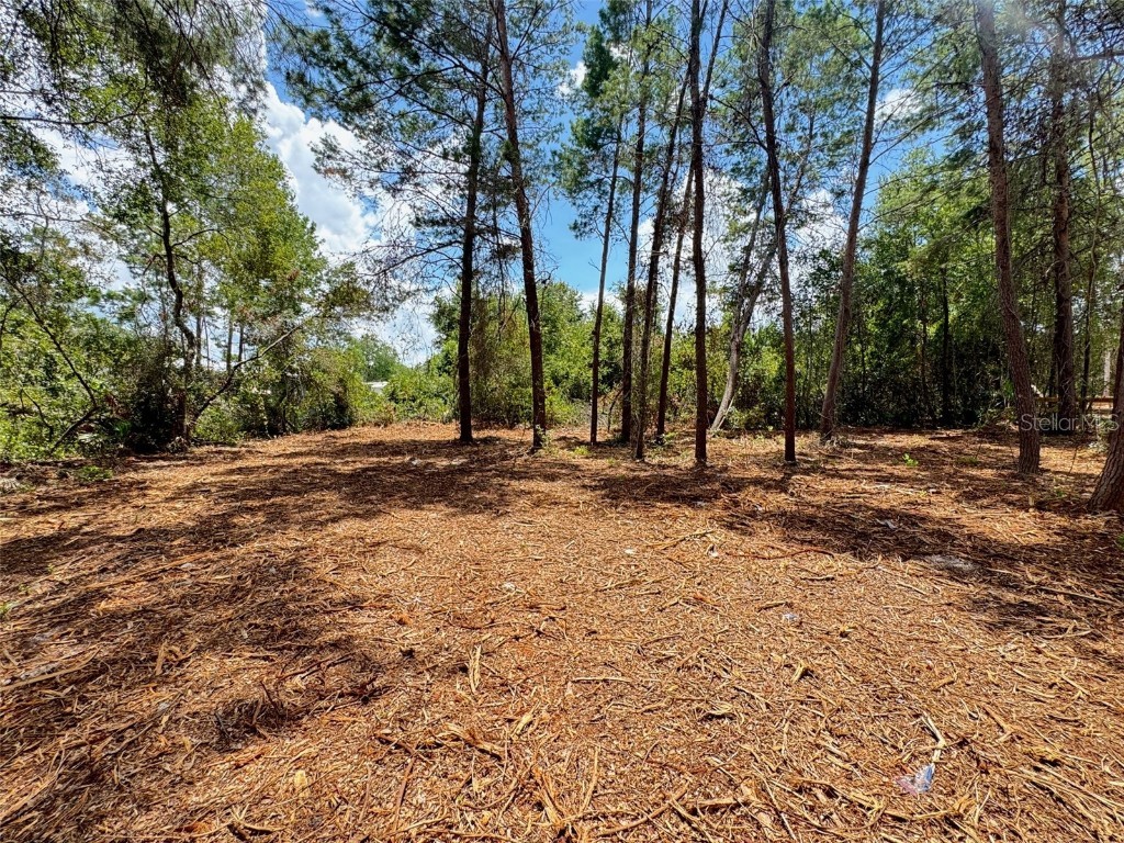 E Pine Street Paisley FL 32767 G5100104 image11