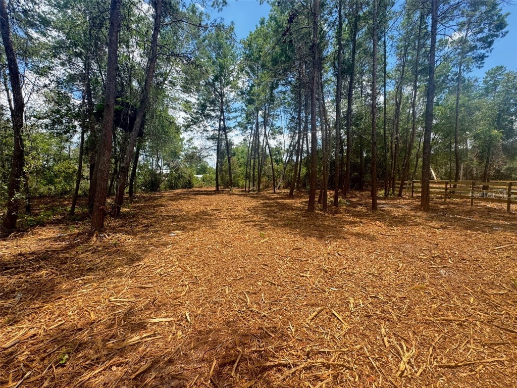 E Pine Street Paisley FL 32767 G5100104 image12