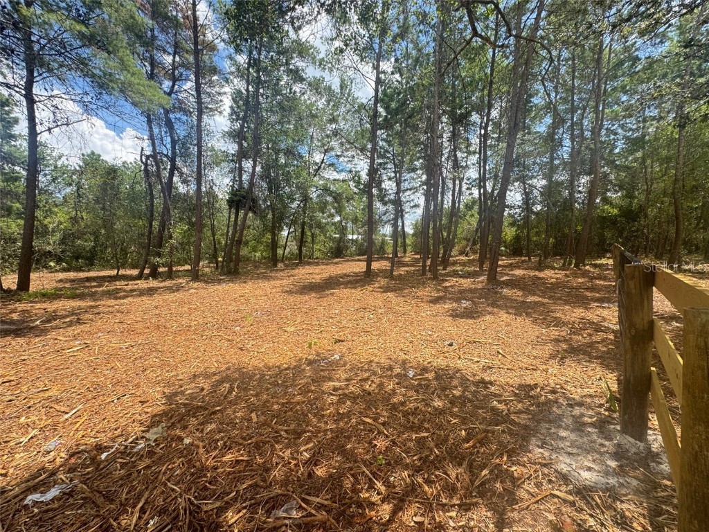 E Pine Street Paisley FL 32767 G5100104 image2