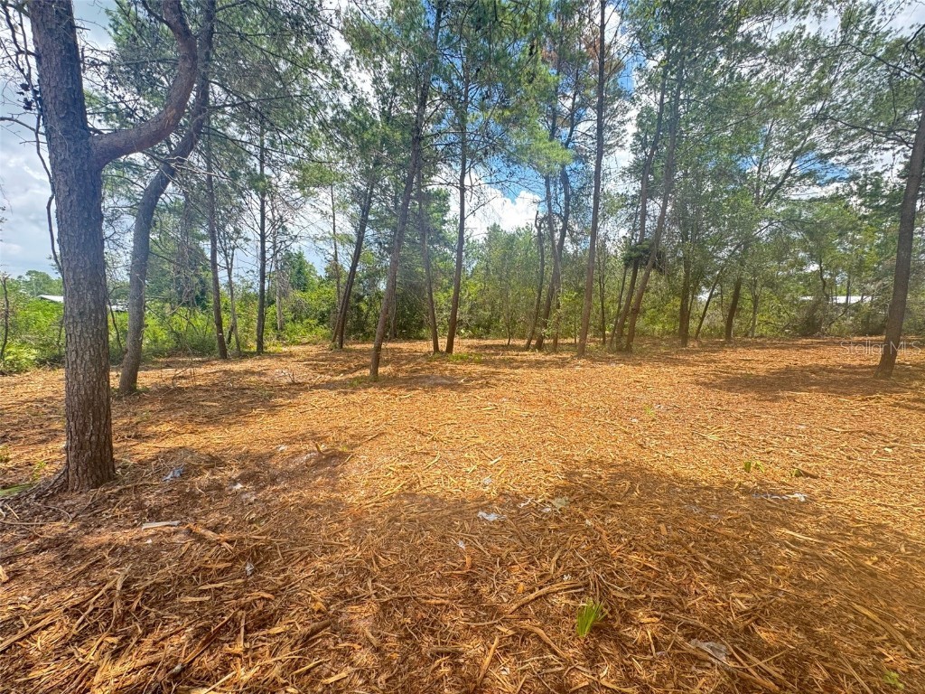 E Pine Street Paisley FL 32767 G5100104 image3