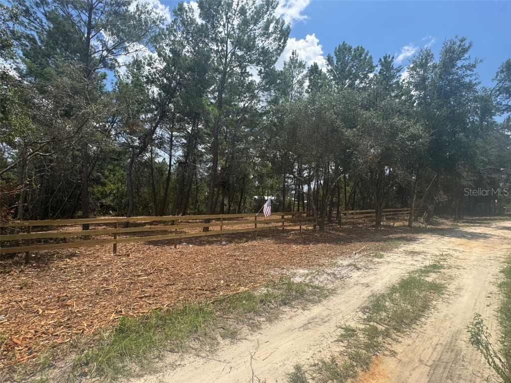 E Pine Street Paisley FL 32767 G5100104 image4