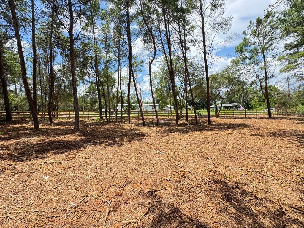 E Pine Street Paisley FL 32767 G5100104 image9