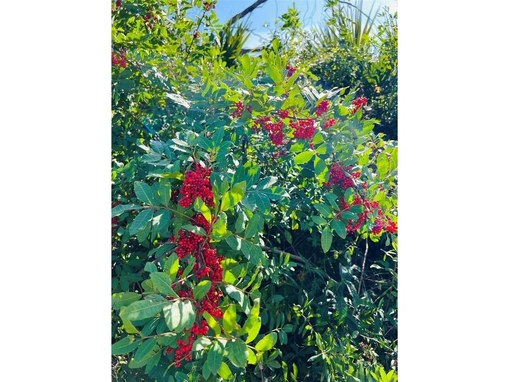 E Price Boulevard North Port FL 34288 TB8324590 image3